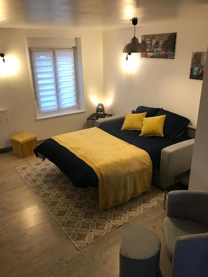 Bel Appartement Lumineux Avec Exterieur Rosieres-aux-Salines Ngoại thất bức ảnh